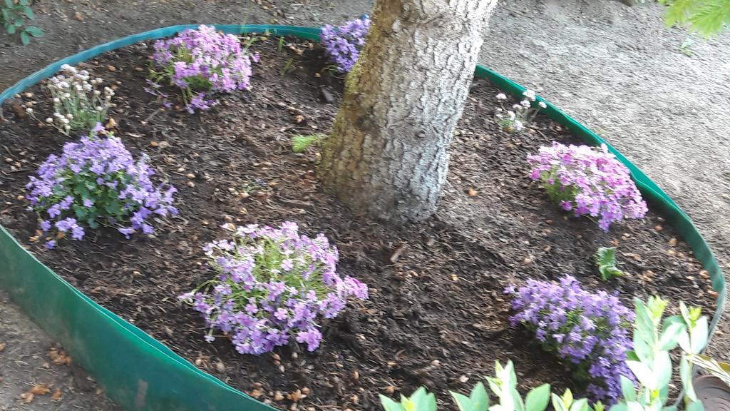 Szaloky Apartmanhaz Gyenesdias Luaran gambar